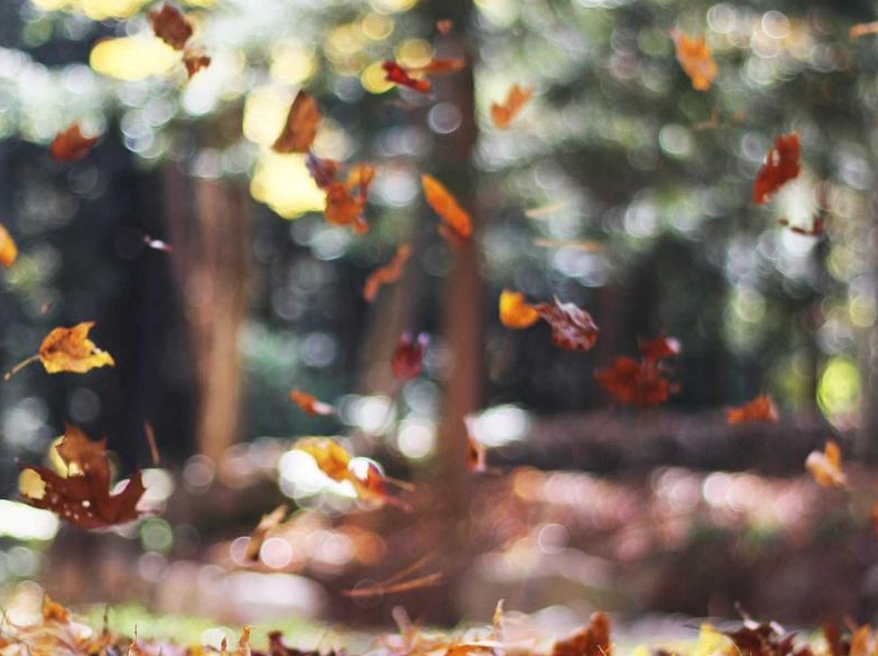 Surfshark下载游戏主机PS5/Xbox配置方案