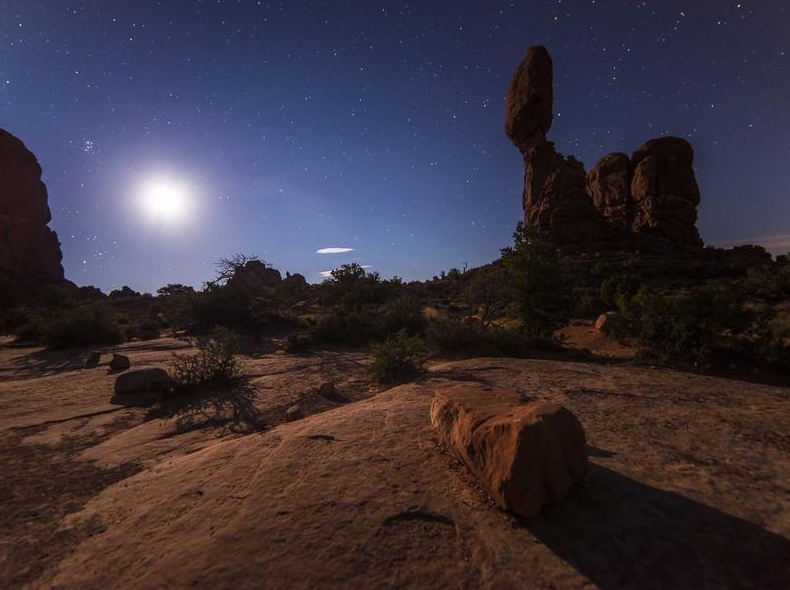 Surfshark官网是哪个?辨别surfshark.com真假官网的5个方法