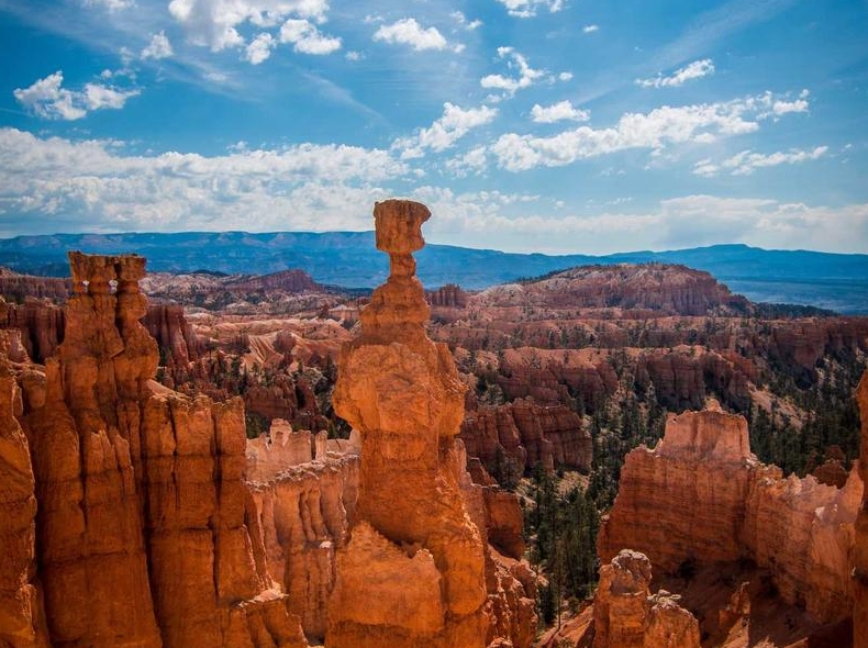 Surfshark VPN公共WiFi安全防护完整方案