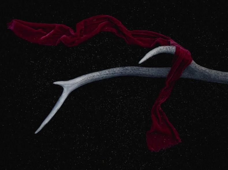 Surfshark官网漏洞赏金计划参与方式介绍