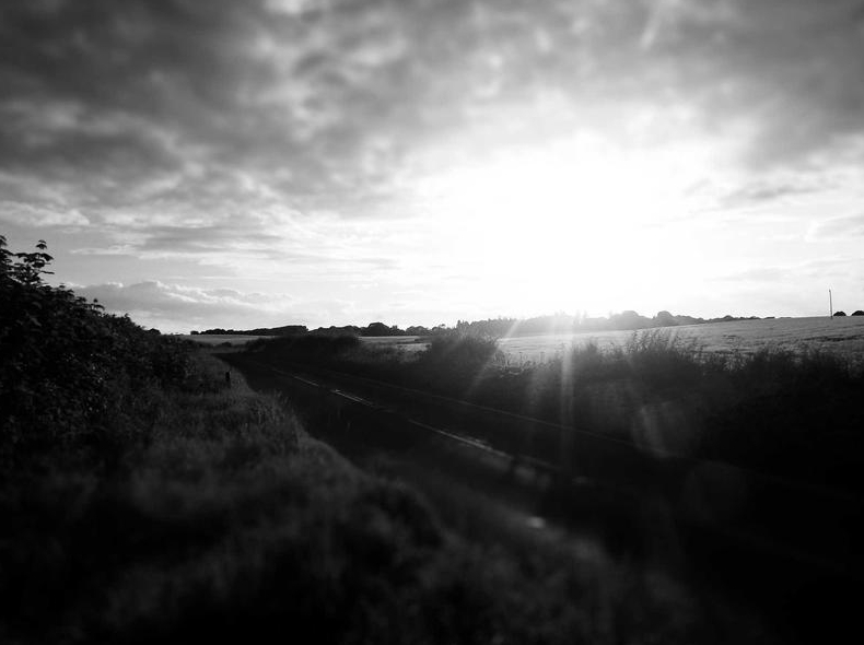 Surfshark下载Mac版Apple Silicon芯片原生支持