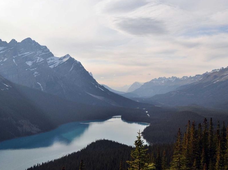 Surfshark下载完成后协议选择优化建议