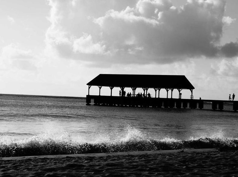 Surfshark官网服务器状态页面实时监控方法