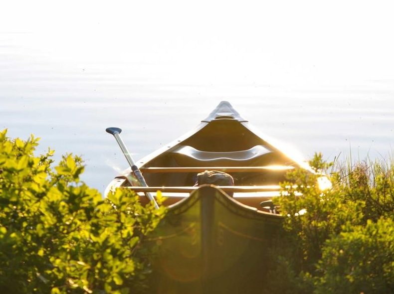 Surfshark VPN能解锁Netflix吗？全球流媒体测试