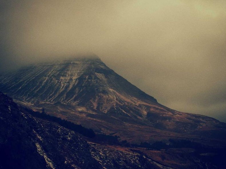 Surfshark官网品牌资源包下载与使用规范