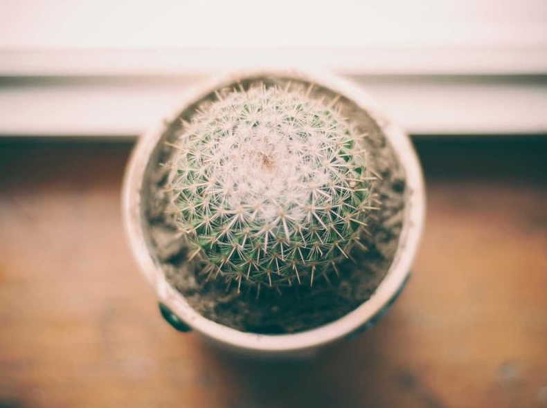 Surfshark VPN绕过学校网络限制实测有效