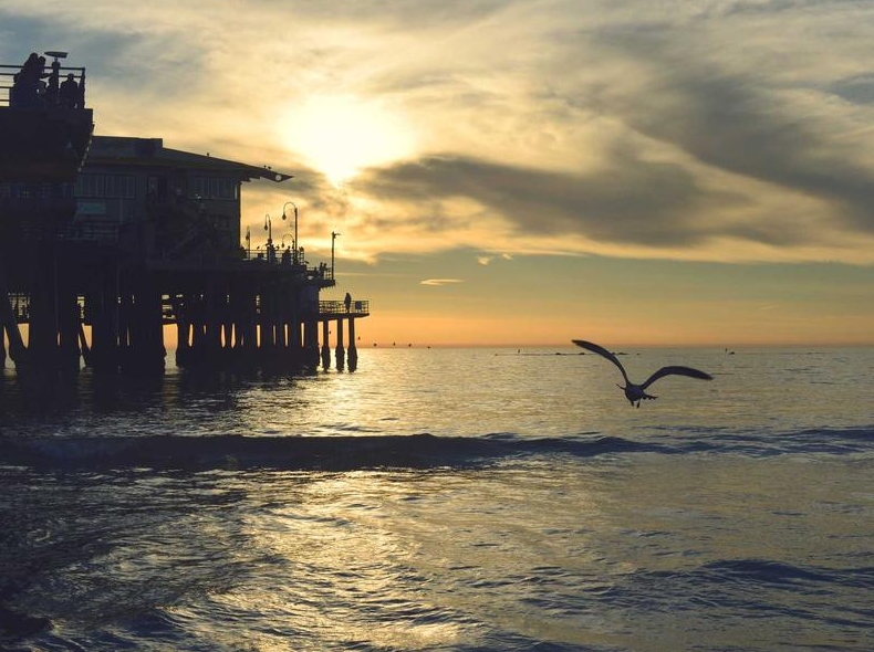 Surfshark Linux版官方下载:Ubuntu/Debian/Fedora安装包