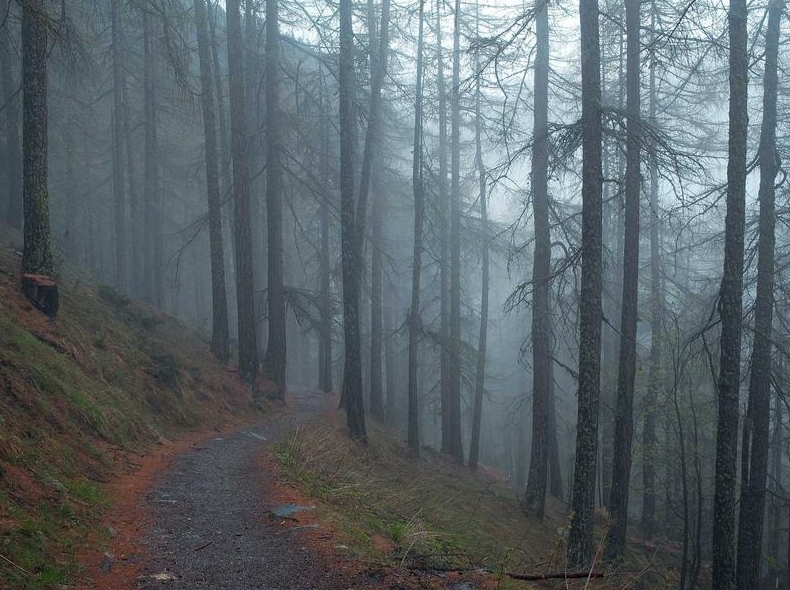 Surfshark VPN DNS泄漏保护测试结果分析