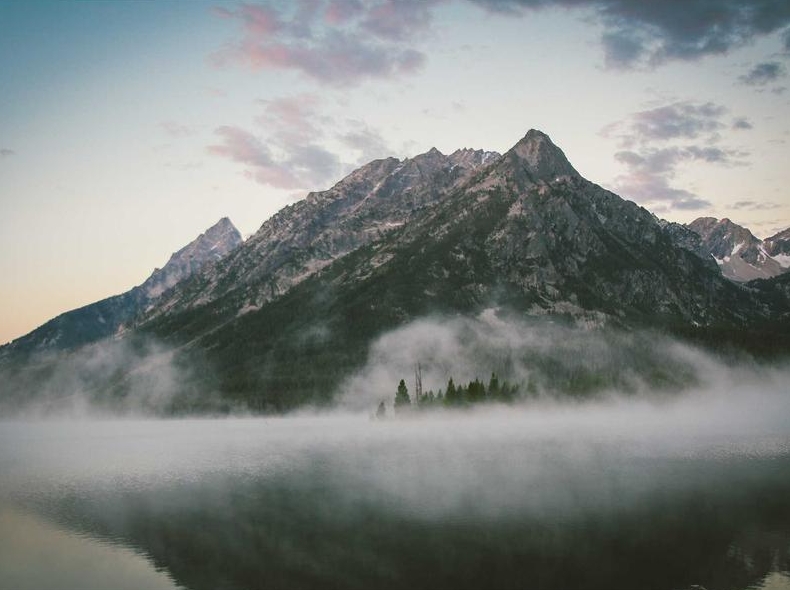 Surfshark官网信任中心安全认证展示解读