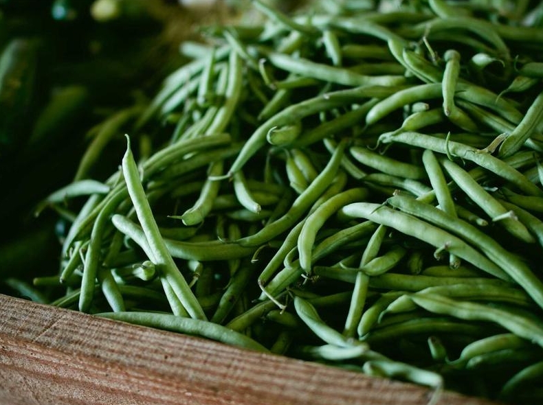 Surfshark下载带宽占用优化设置推荐参数