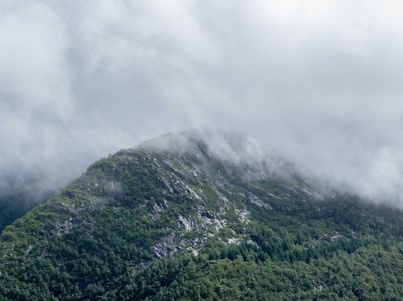 Surfshark官网企业解决方案咨询入口指引