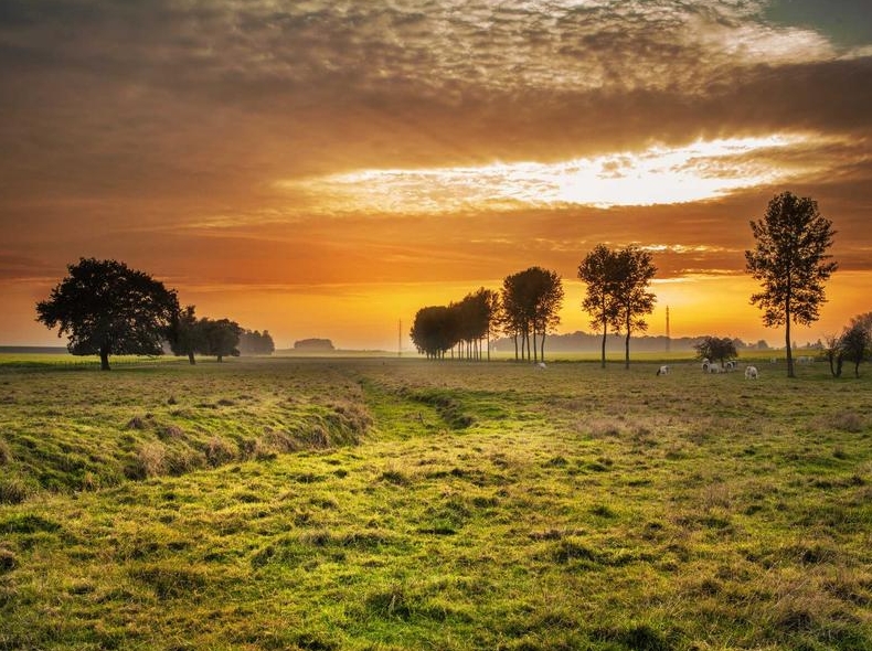 Surfshark VPN长期订阅性价比分析：值得买吗