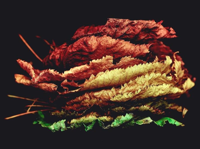 Surfshark VPN 24小时客服响应质量实测