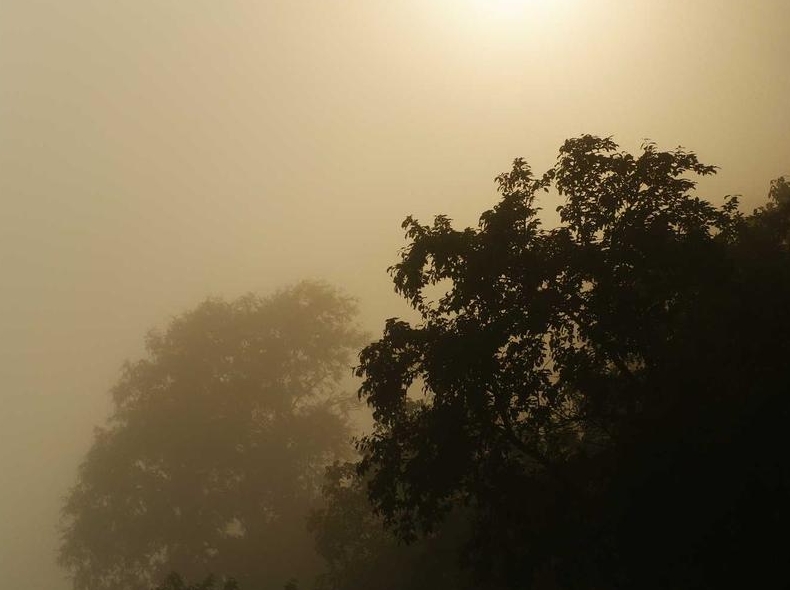 Surfshark官网与代理商购买渠道区别分析