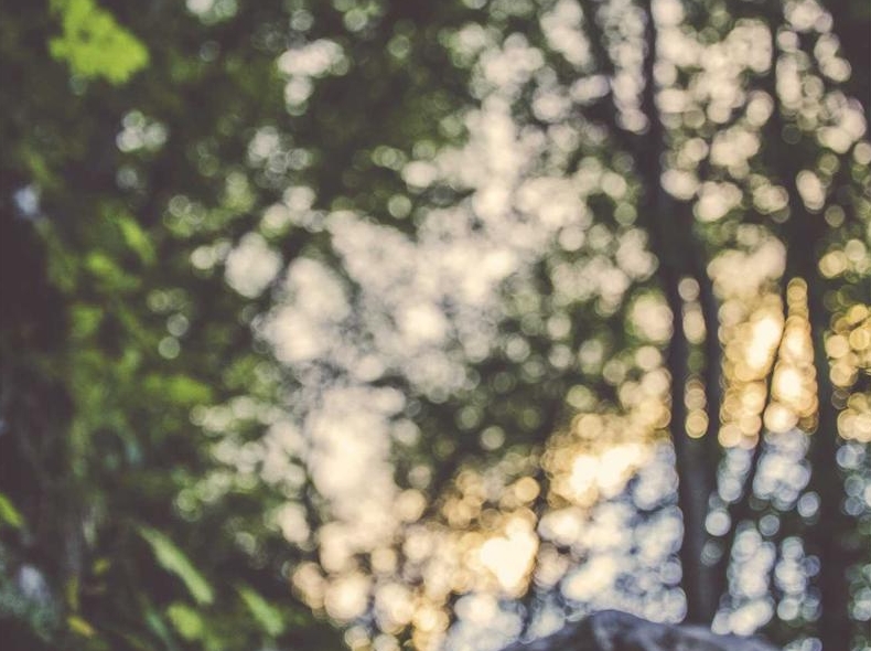 Surfshark VPN加密货币支付方式支持详解