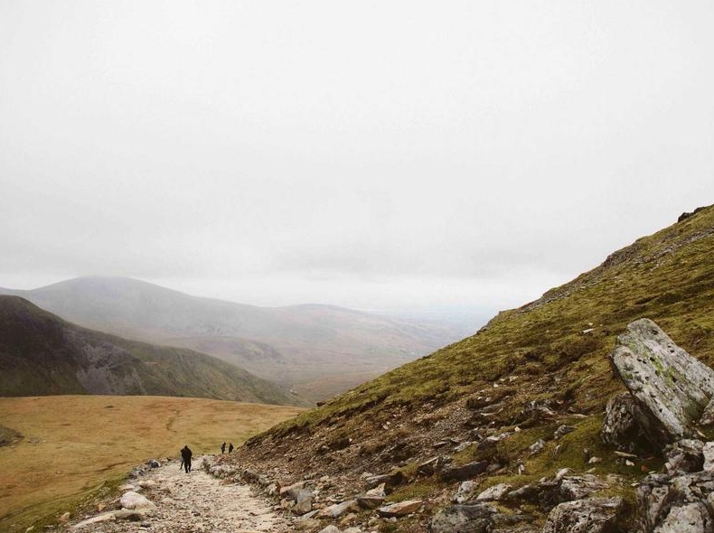 Surfshark VPN Nexus技术架构革新解读