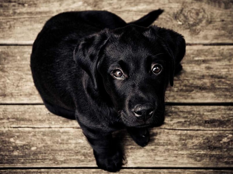 Surfshark VPN Android版深度评测:移动端首选